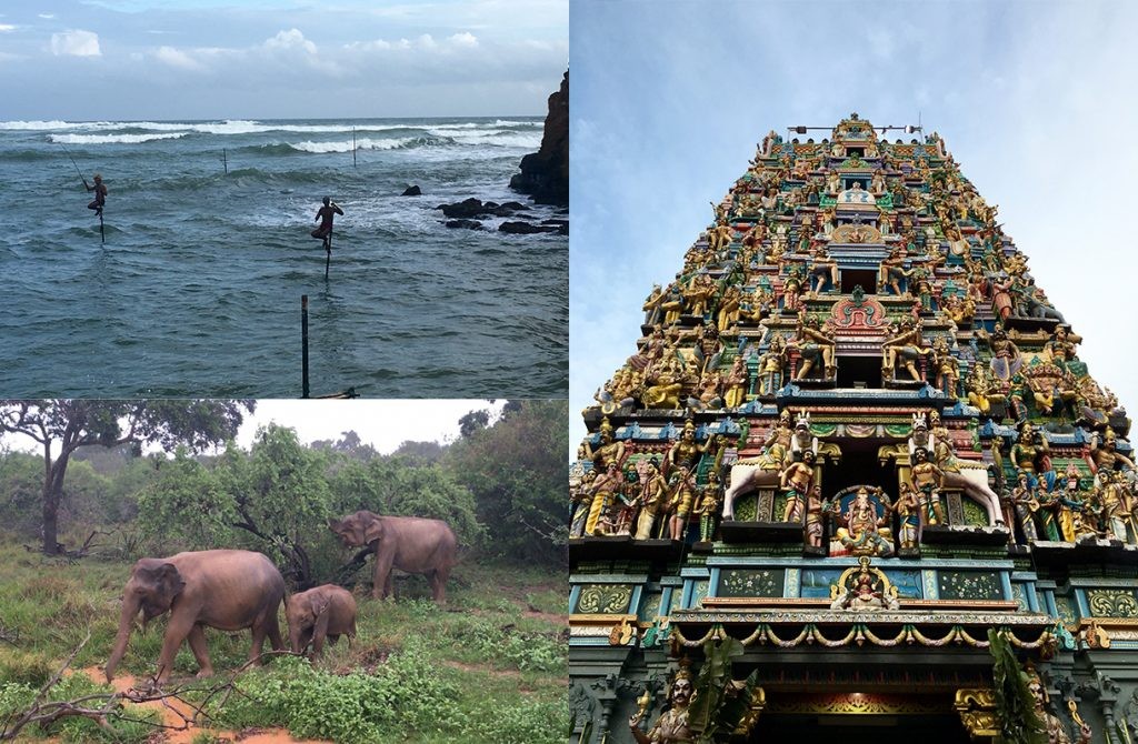 To Discover the Beauty of Sri Lanka