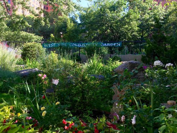 Westside Community Garden NYC