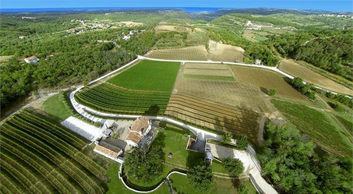 Reasons To Visit Istria Croatia ｜Great Wine Of Istria