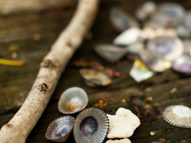 Seashells on Molokai, Hawaii