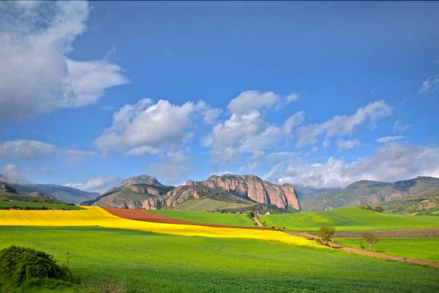 The landscapes of Rioja, Spain