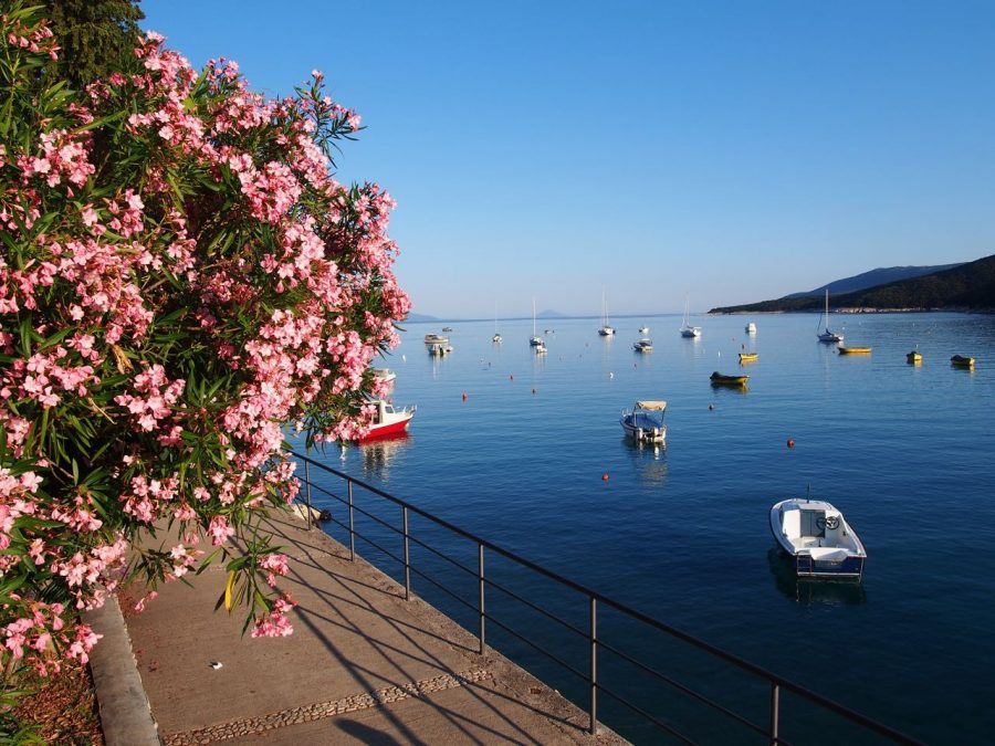 Things to do in Rabac: Wander the Promenade