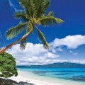 Vanuatu island travel guide 02