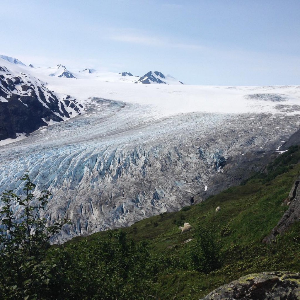 Exit Glacier, Alaska