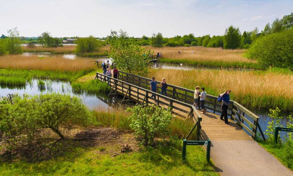 London Wetland Centre comprises 105 protected acres