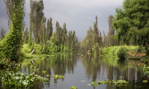 A canal in Xochimilco Lake, Mexico City.