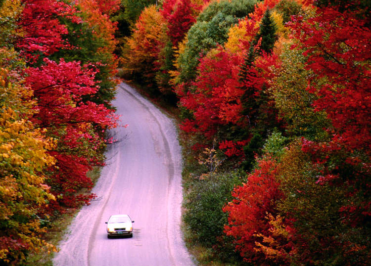 Fall Foliage Road Trips Tips