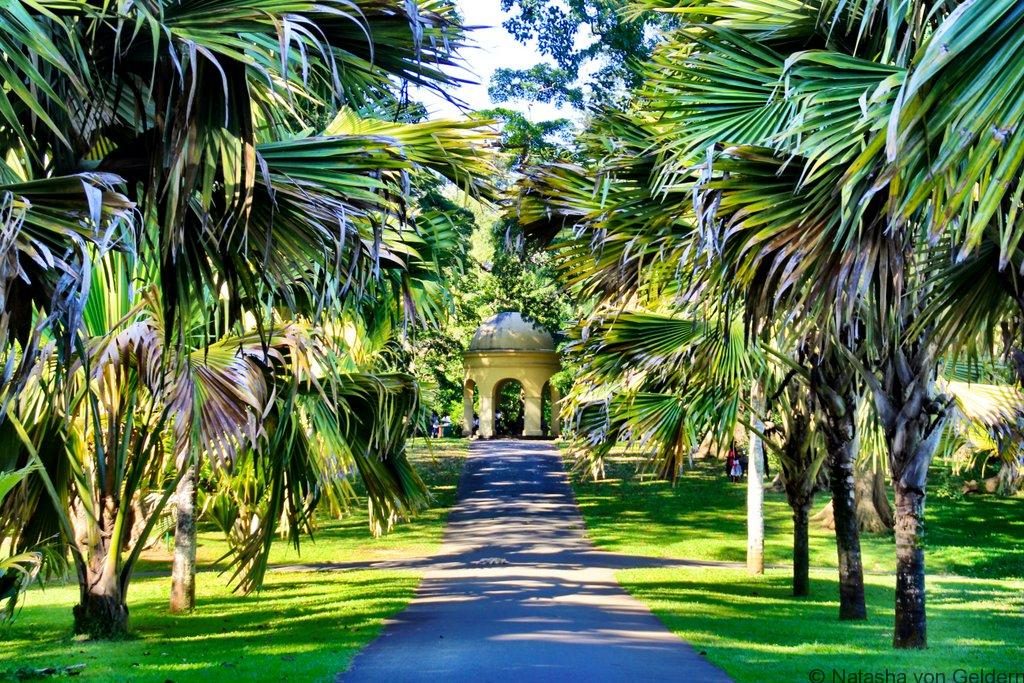 Wander through Royal Botanic Gardens